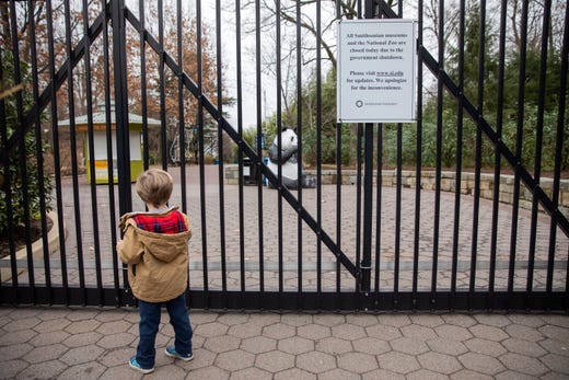 epaselect epa07258610 A disappointed young visitor, Asa Hazelwood, 3, pauses at the closed gates to the Smithsonian National Zoo in Washington, DC, USA, 02 January 2019. Asa's mother was unaware of the zoo's closure. The Smithsonian museums and the National Zoo are now closed to visitors. The US government continues into a twelfth day of a partial shutdown as Congress and US President Donald J. Trump are at an impasse over funding of Trump's proposed southern border barrier.