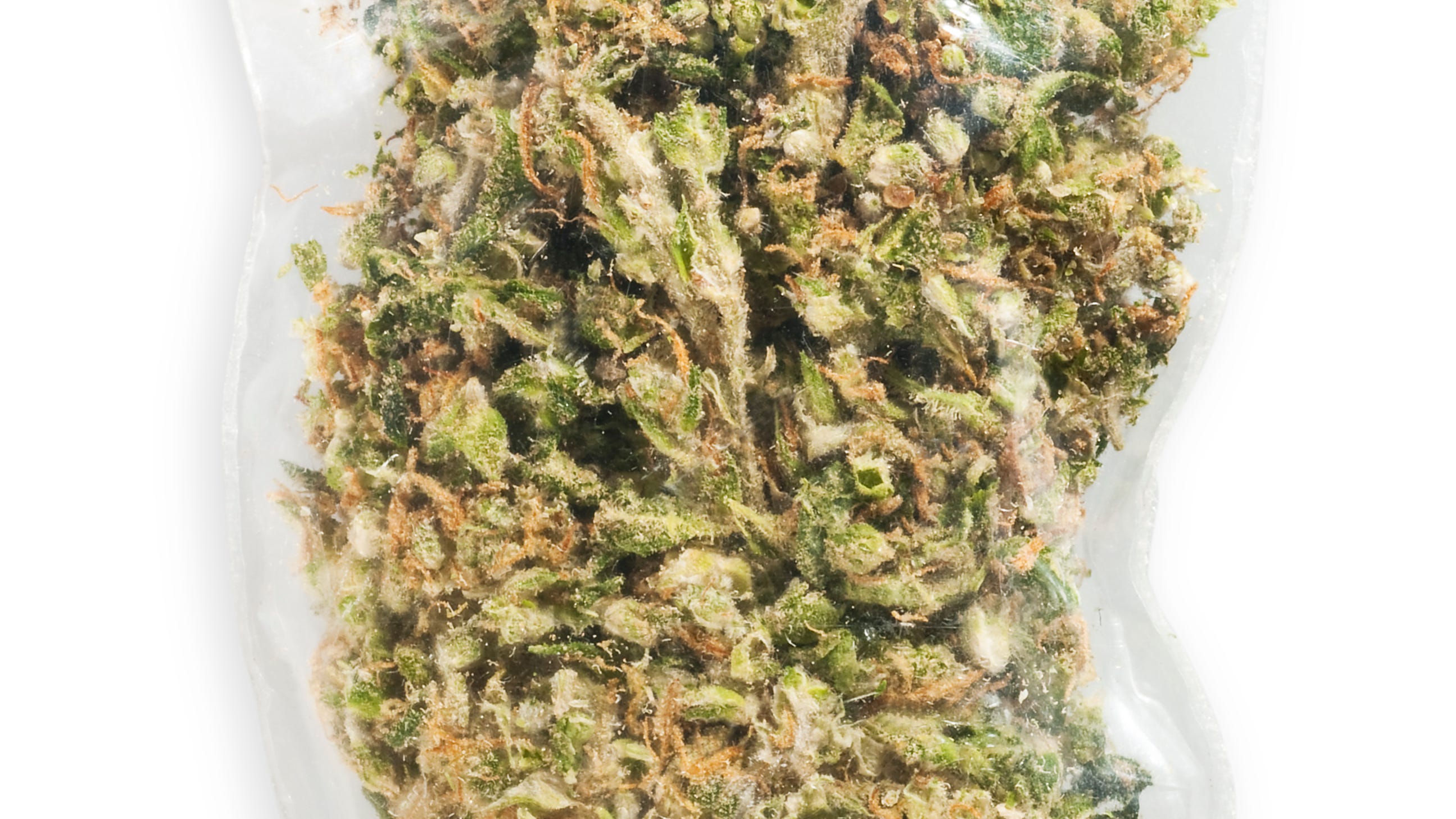 Green Bay Approves 0 Fines For Cannabis Possession For 21 Or Older Green Bay Approves 0 Fines For Cannabis Possession For 21 Or Older