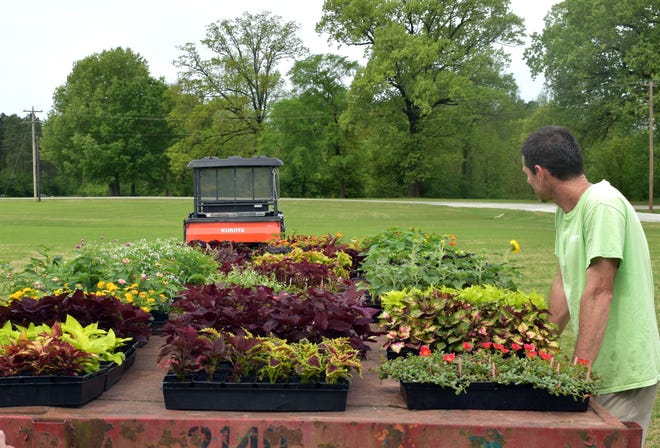 Jason Reeves looks over a few of the many beautiful coleus that will be offered at the Master Gardener plant sale May 4.
