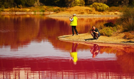 People take photographs of the pink lake at Westgate Park on March 27, 2019 in Melbourne, Australia. The inland lake turns pink in warmer months thanks to a natural phenomenon. The pink hue happens in response to high salt levels, lots of sunlight and a lack of rainfall. Lake algae, which grows in the salt crust at the bottom of the lake produces a red pigment as part of its photosynthesis process.