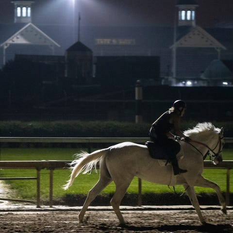 A light gray horse trained on a rainy morning at...