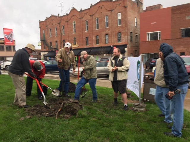 Six new trees were planted Friday in Central Park in honor of Arbor Day.