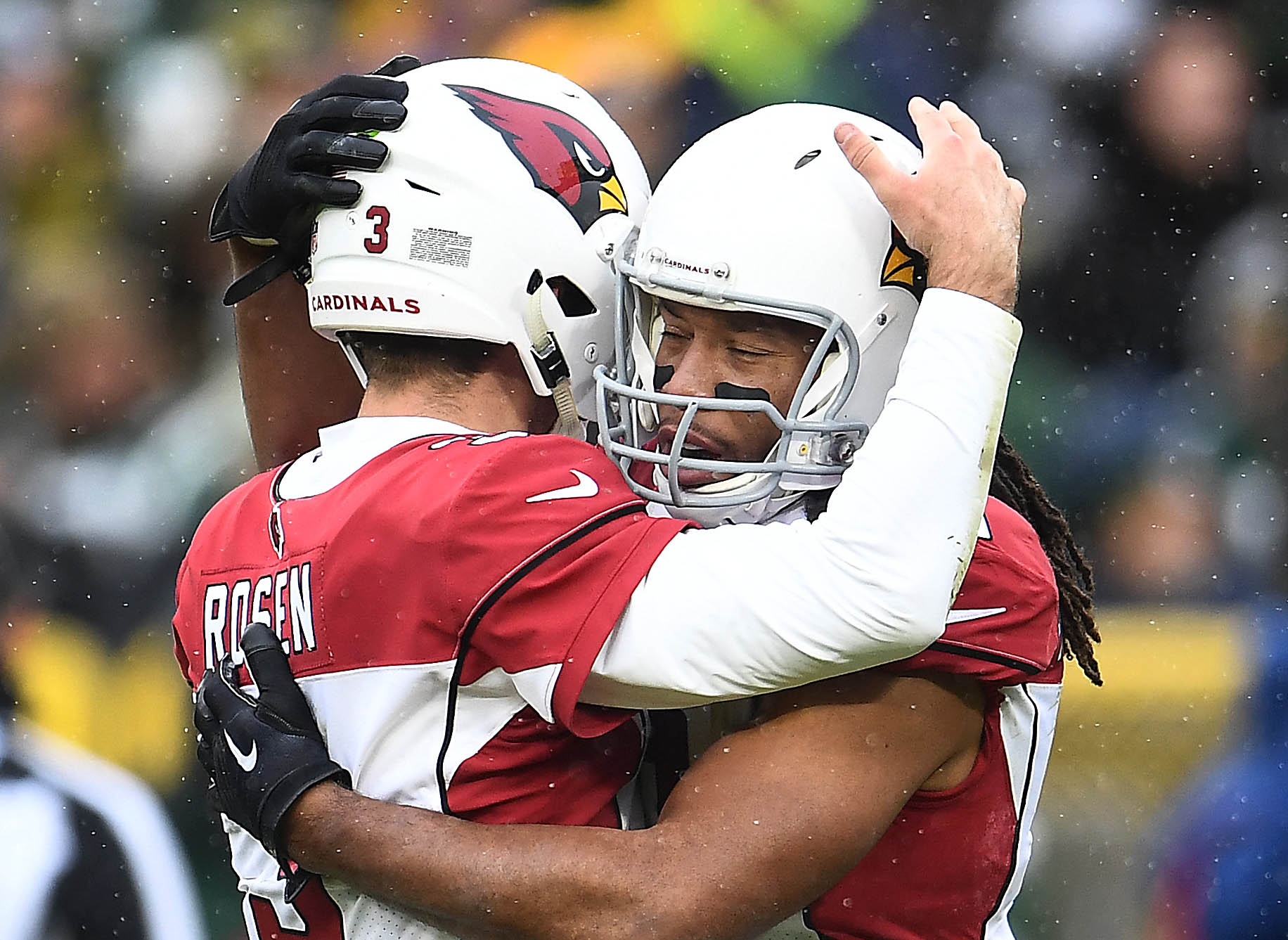 larry fitzgerald dog jersey