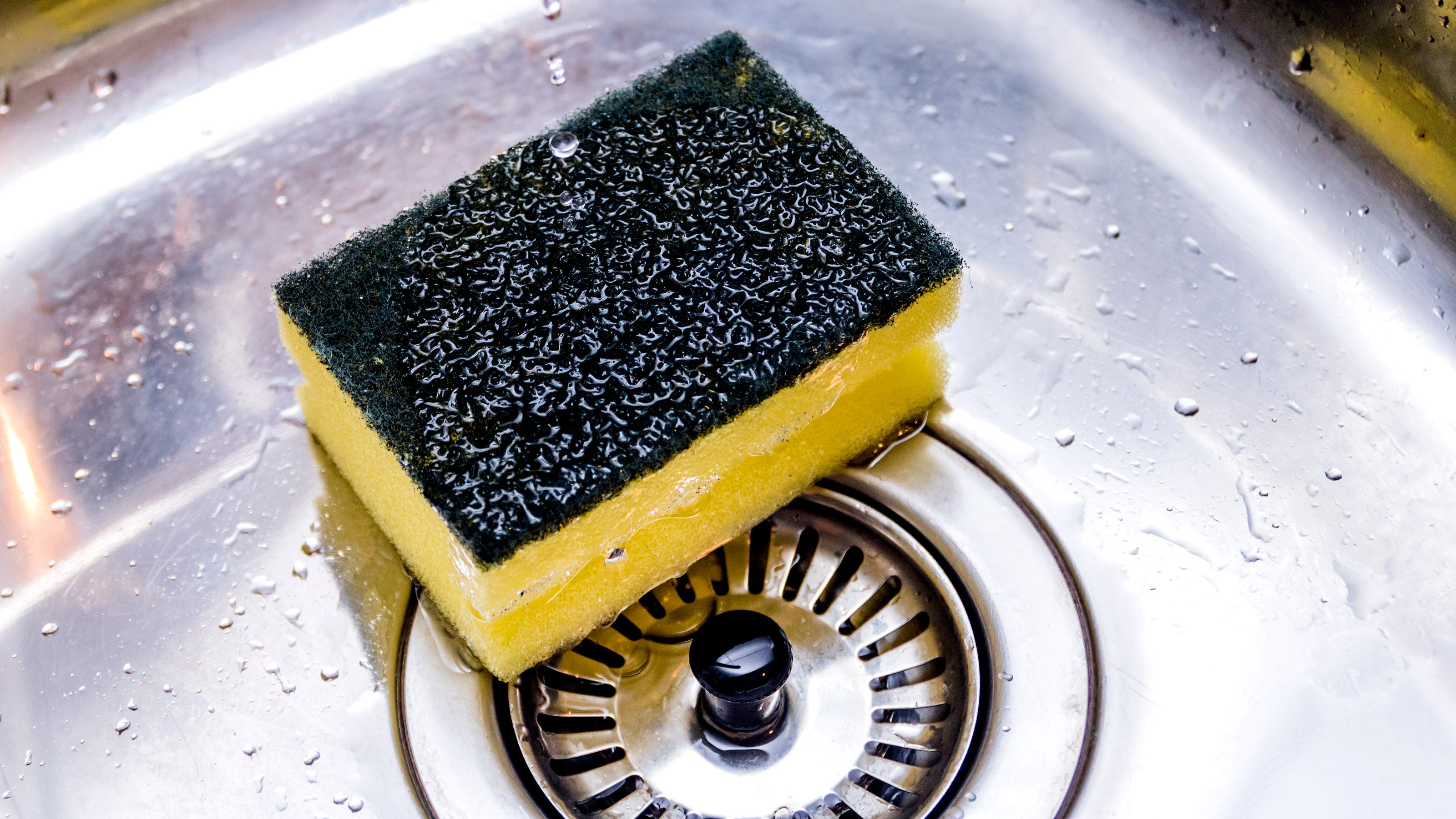 Sponges Left In Sinks Become Fecal Germ Bombs Science Says Sponges Left In Sinks Become Fecal Germ Bombs Science Says