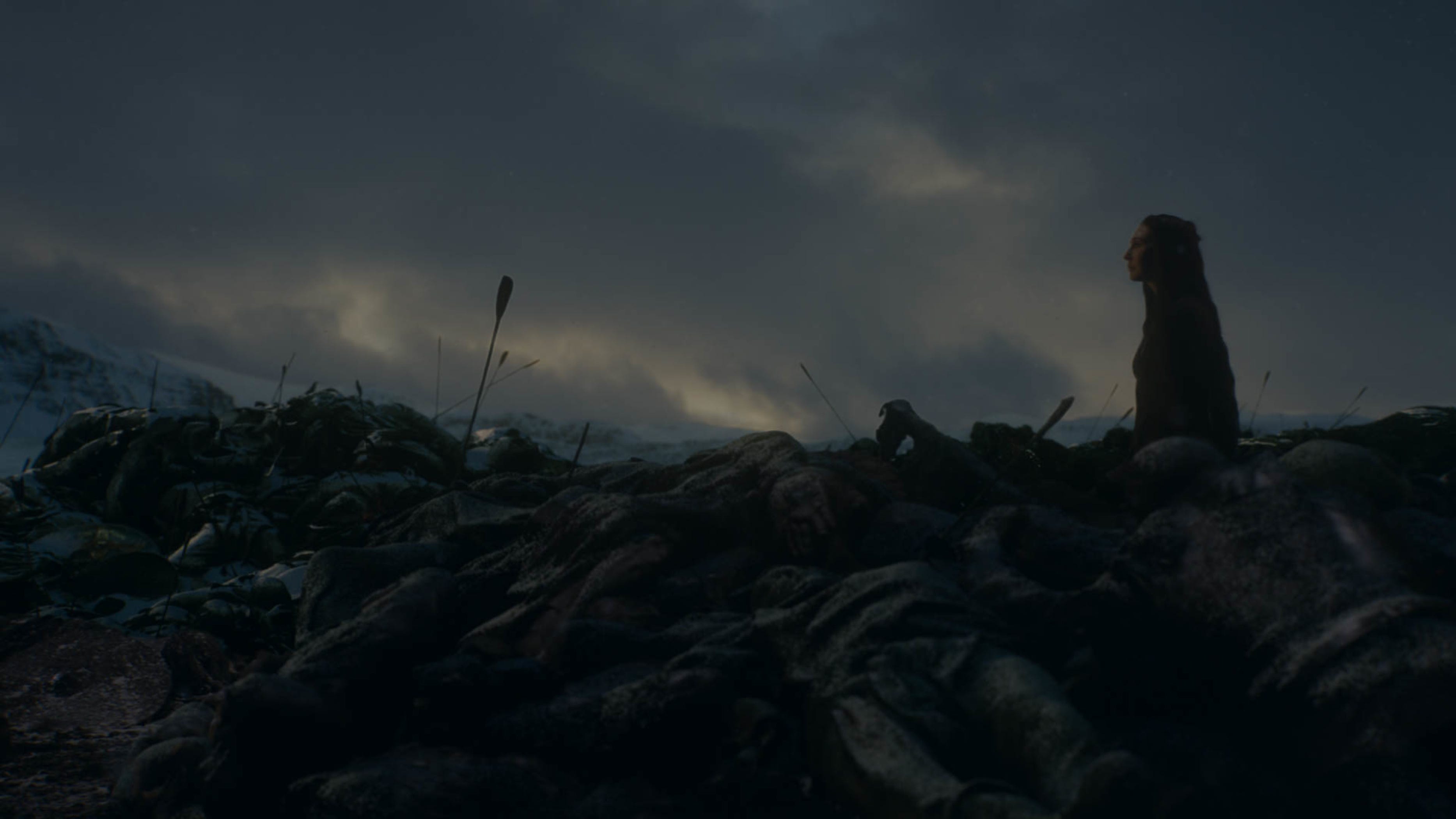 Game of Thrones Winterfell Battle Worn Banner