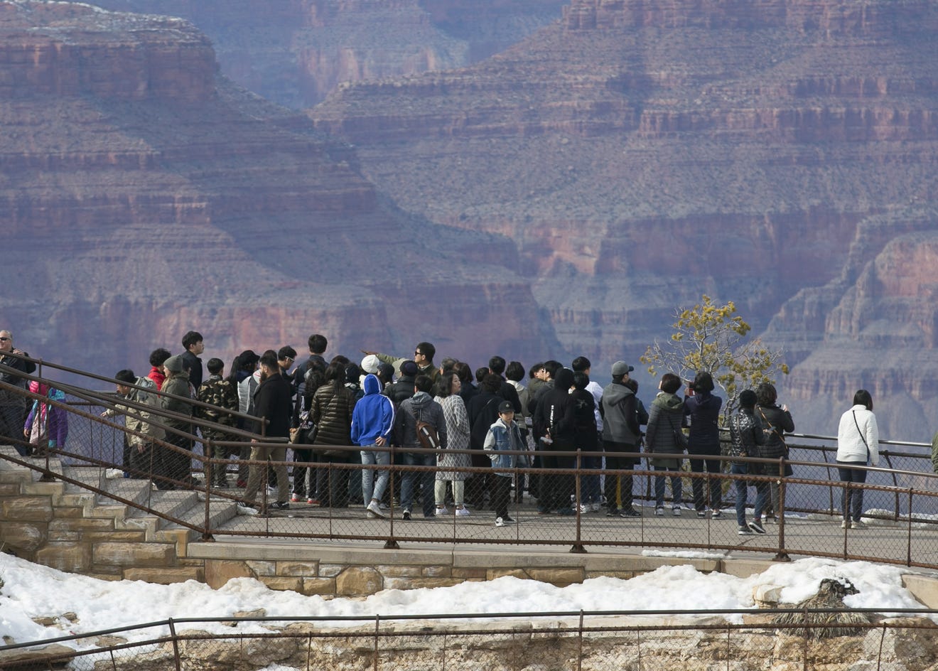 Grand Canyon tourists deaths happen because it's beautiful, dangerous