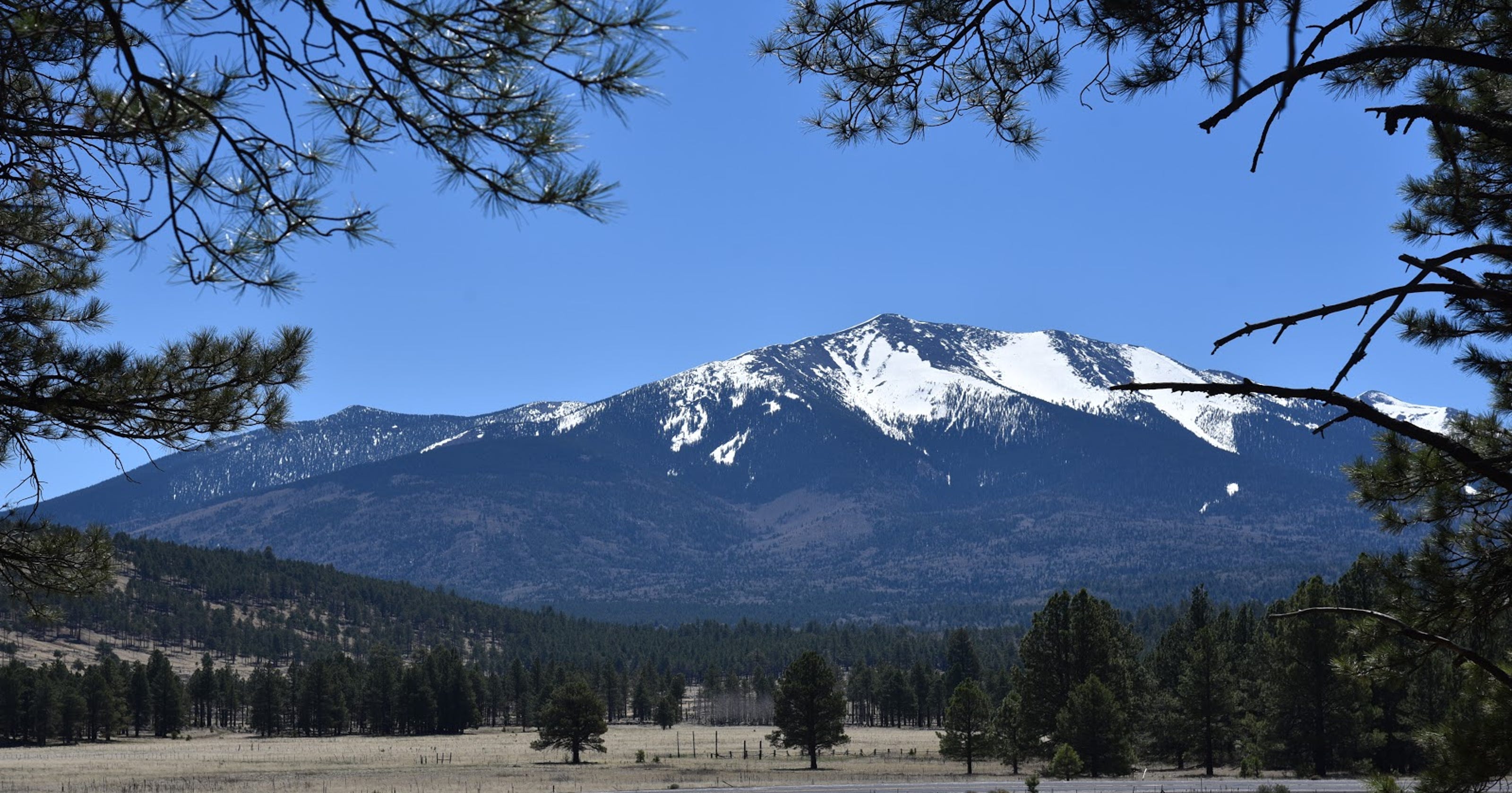 Flagstaff, AZ, hike Kendrick Park Watchable Wildlife Trail photos
