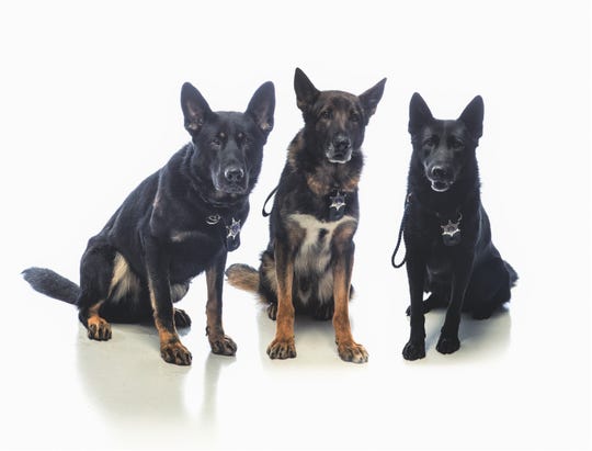 K9 coverage Appleton carries 25,000 of insurance on its