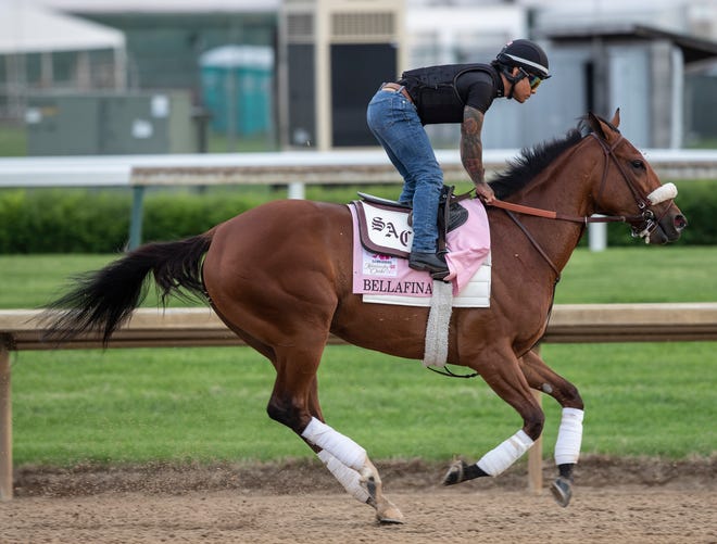 Bellafina trains at Churchill Downs prior to the Kentucky Oaks. May 1, 2019.
