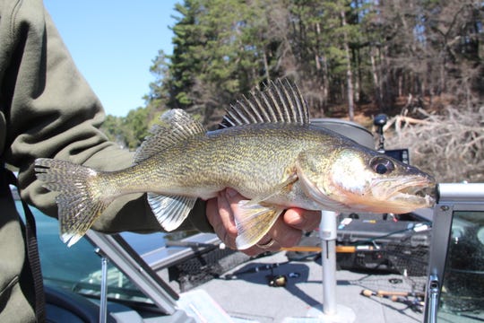 2020 Wisconsin Fishing Opener Will Be Unlike Others Due To Coronavirus