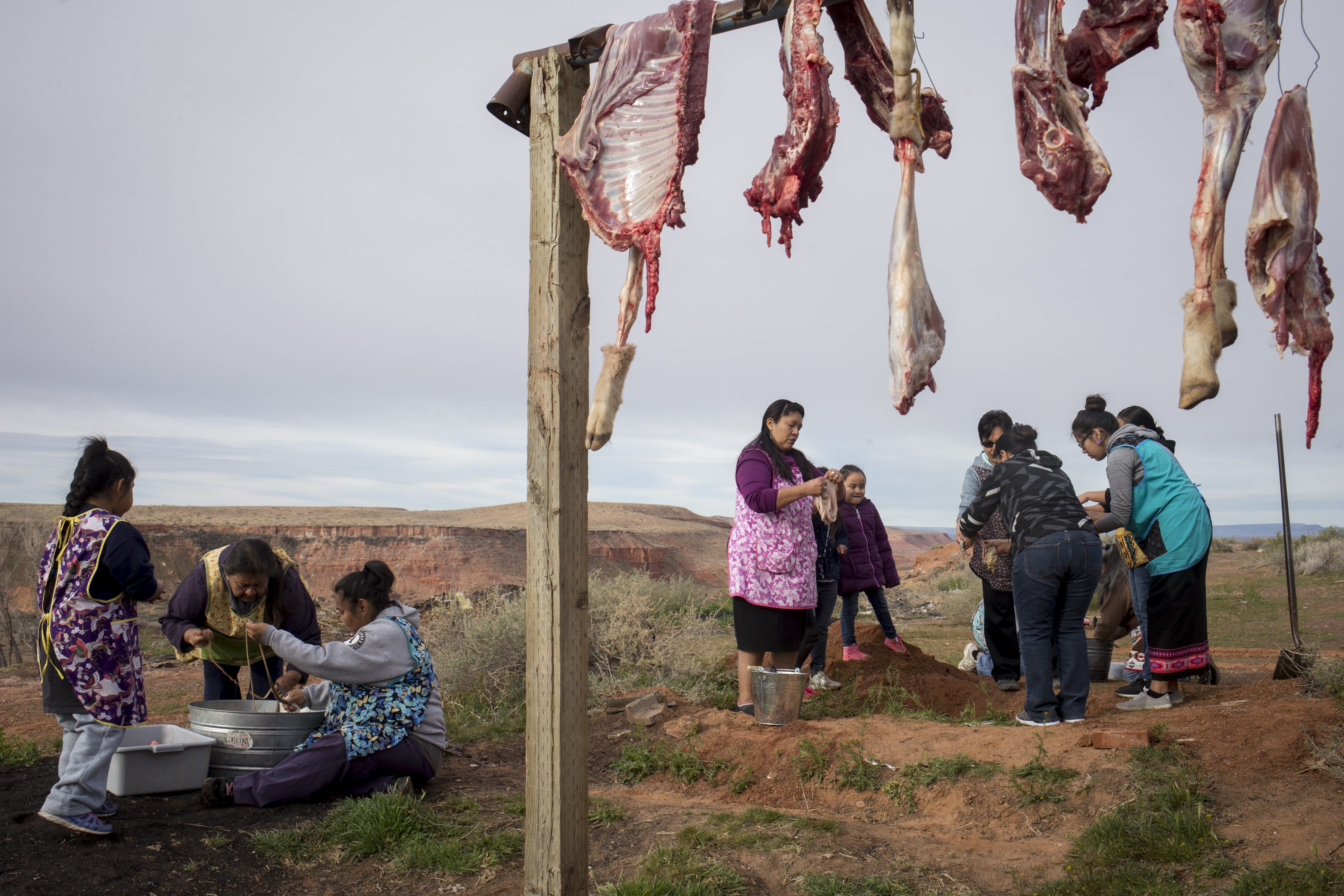 As each sheep was butchered, a group of women cleaned the intestines so they could be cooked and served the next day.