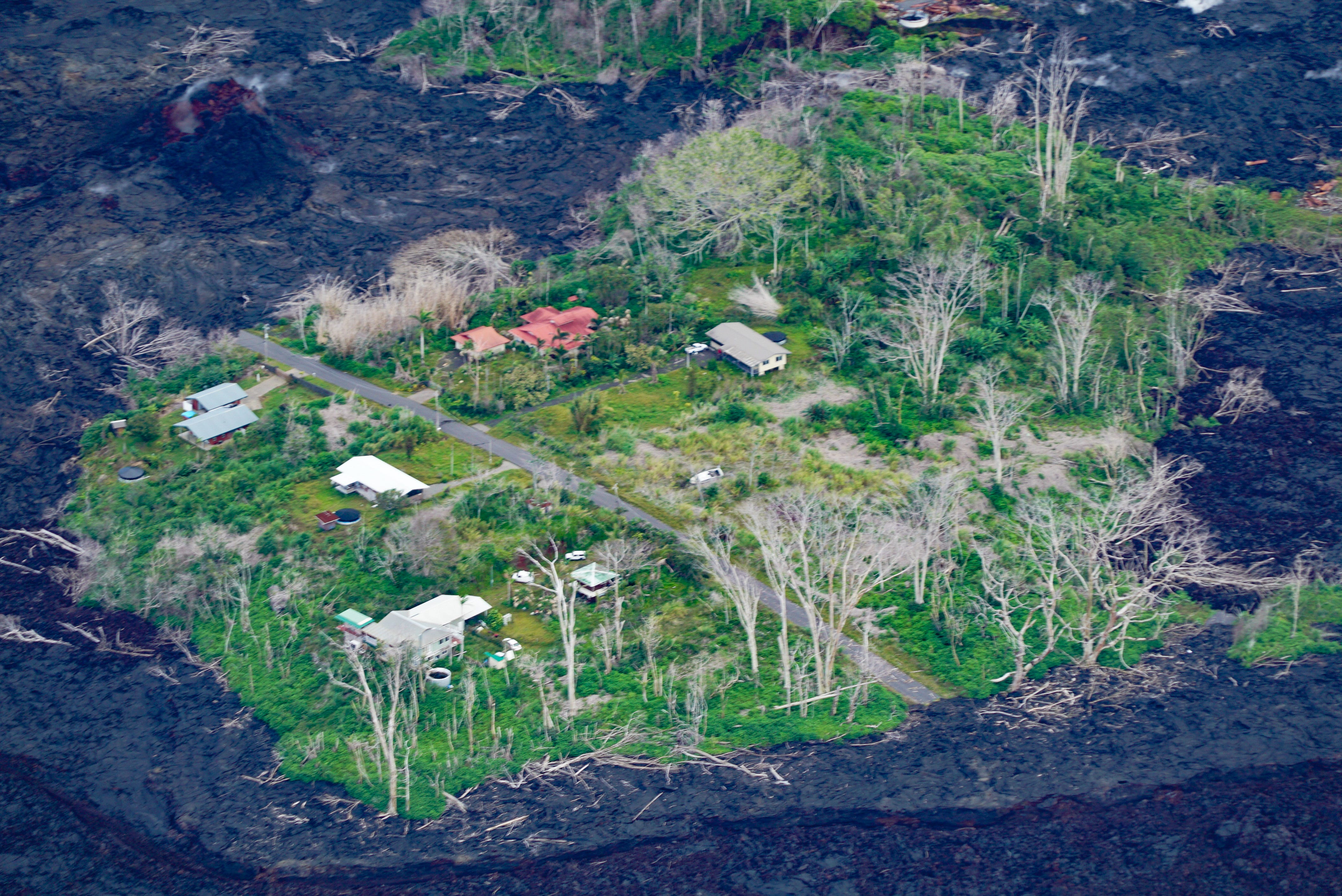 An island of green sits amidst the 2018 lava flow on Hawaii's Big Island. Many residents of islands like this one are frustrated county officials have not rebuilt the roads to their homes yet.