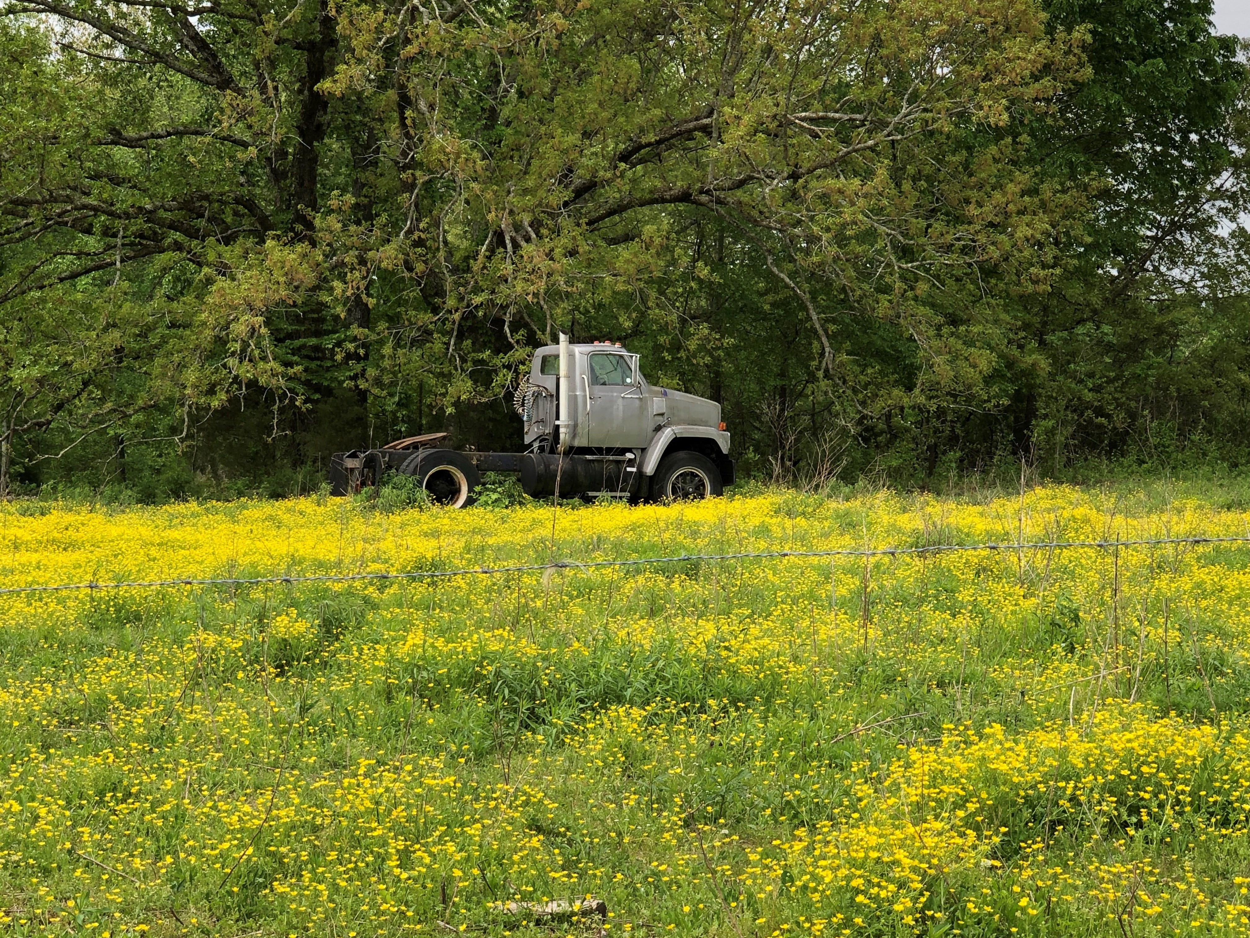 Westmoreland TN adjusts to new reality in days after 7 horrific killings