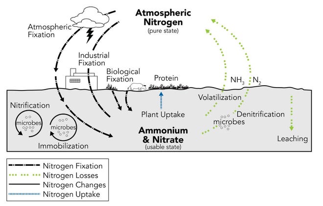 If you apply anhyddrous ammonia to soil test for both ammonium and nitrate.