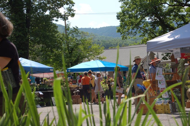 The Black Mountain Garden Sale will return for its 14th year on May 17 and 18, as more than 20 vendors return to the Monte Vista Hotel. The event, which is organized by the Black Mountain Beautification Committee, is the nonprofit's biggest annual fundraiser.