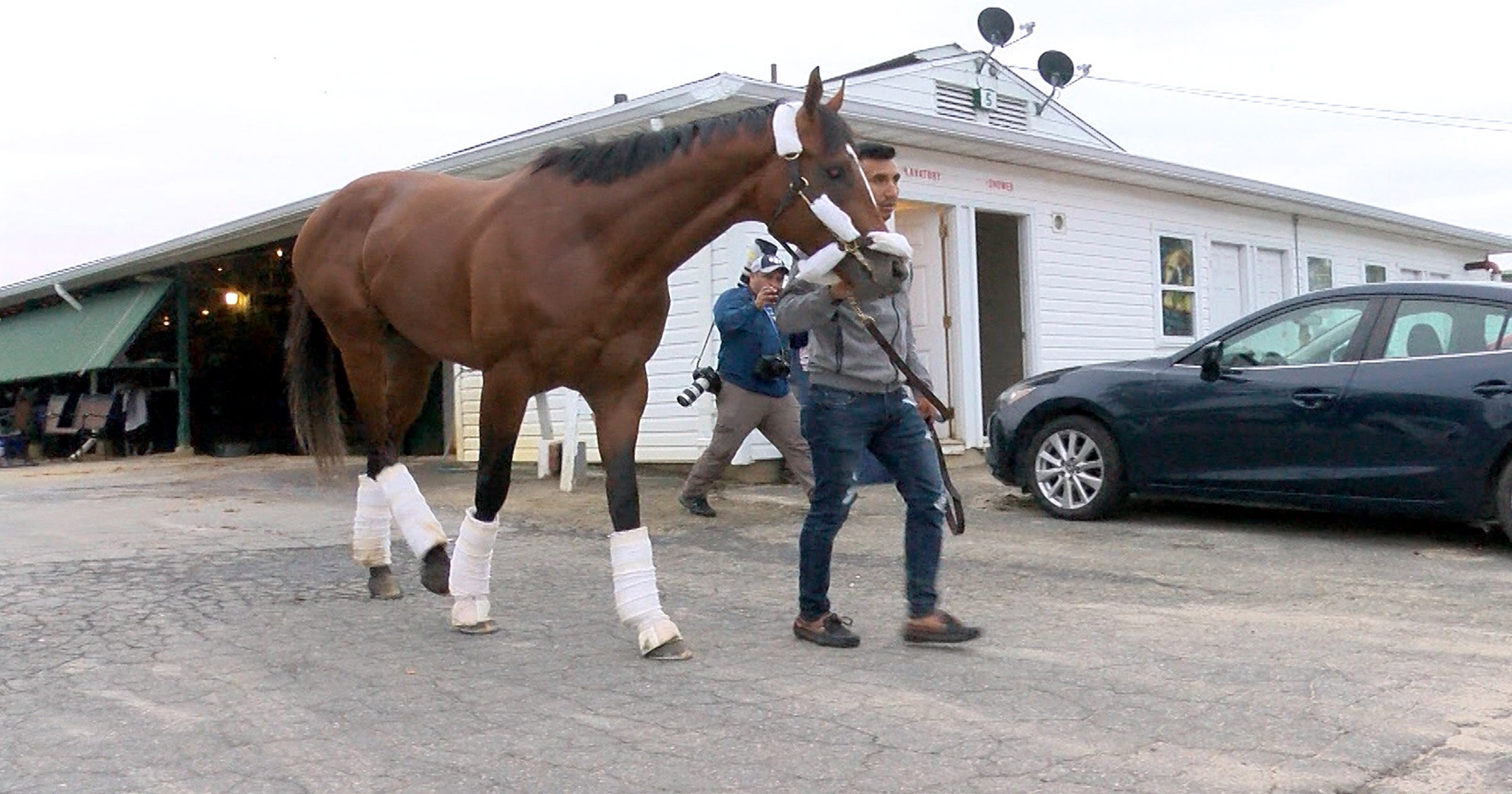 Maximum Security Is At Monmouth Park Here S What We Know Now