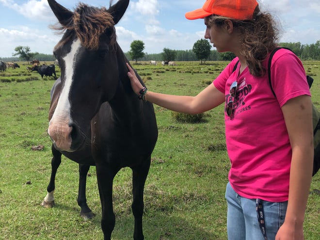 Luisa Borda, 20, of Melbourne has been attending CIP Brevard since January 2019. Borda recently participated in the Eye of a Horse equine program in Central Florida, where CIP Brevard students gain leadership, non-verbal communication, and other critical interpersonal skills as they spend time socializing with horses.