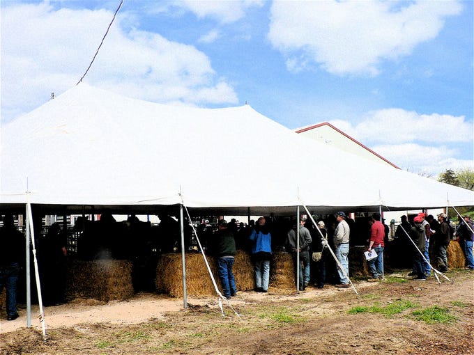 The tent was full.