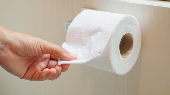 The Best Toilet Paper