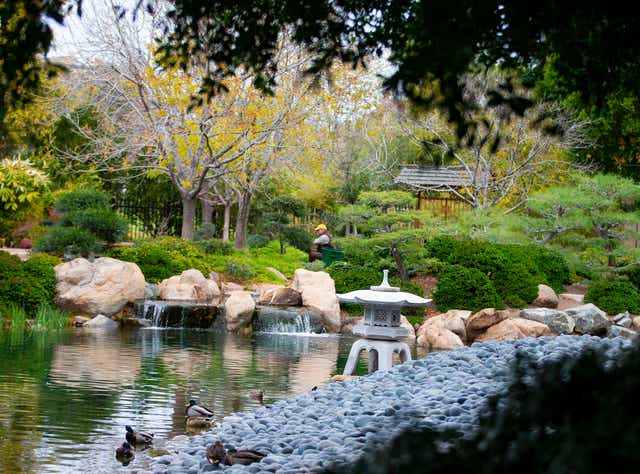 Inside Phoenix S Japanese Friendship Garden An Arizona Hidden Gem