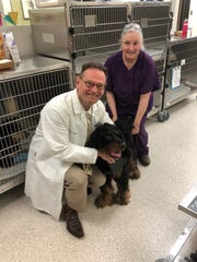 Stephen Johnston, an ASU scientist and professor, has worked for 12 years on a vaccine to prevent canine cancer. Trilly is the the first dog to receive the vaccine in a trial that launched early May.