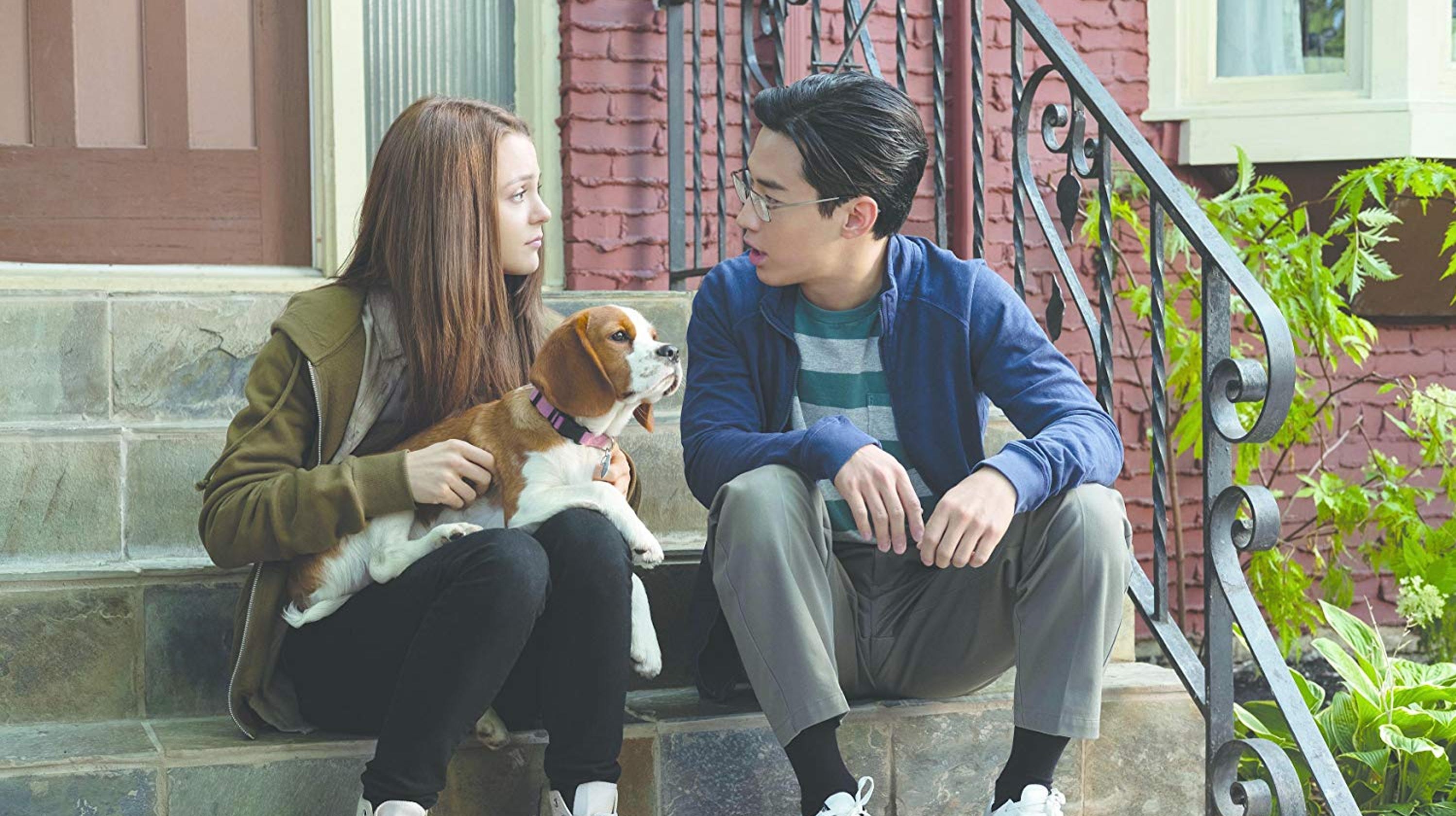 New movies: 'A Dog's Journey,' 'John Wick: Chapter 3'