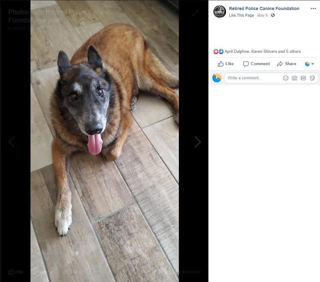 retired police canine foundation