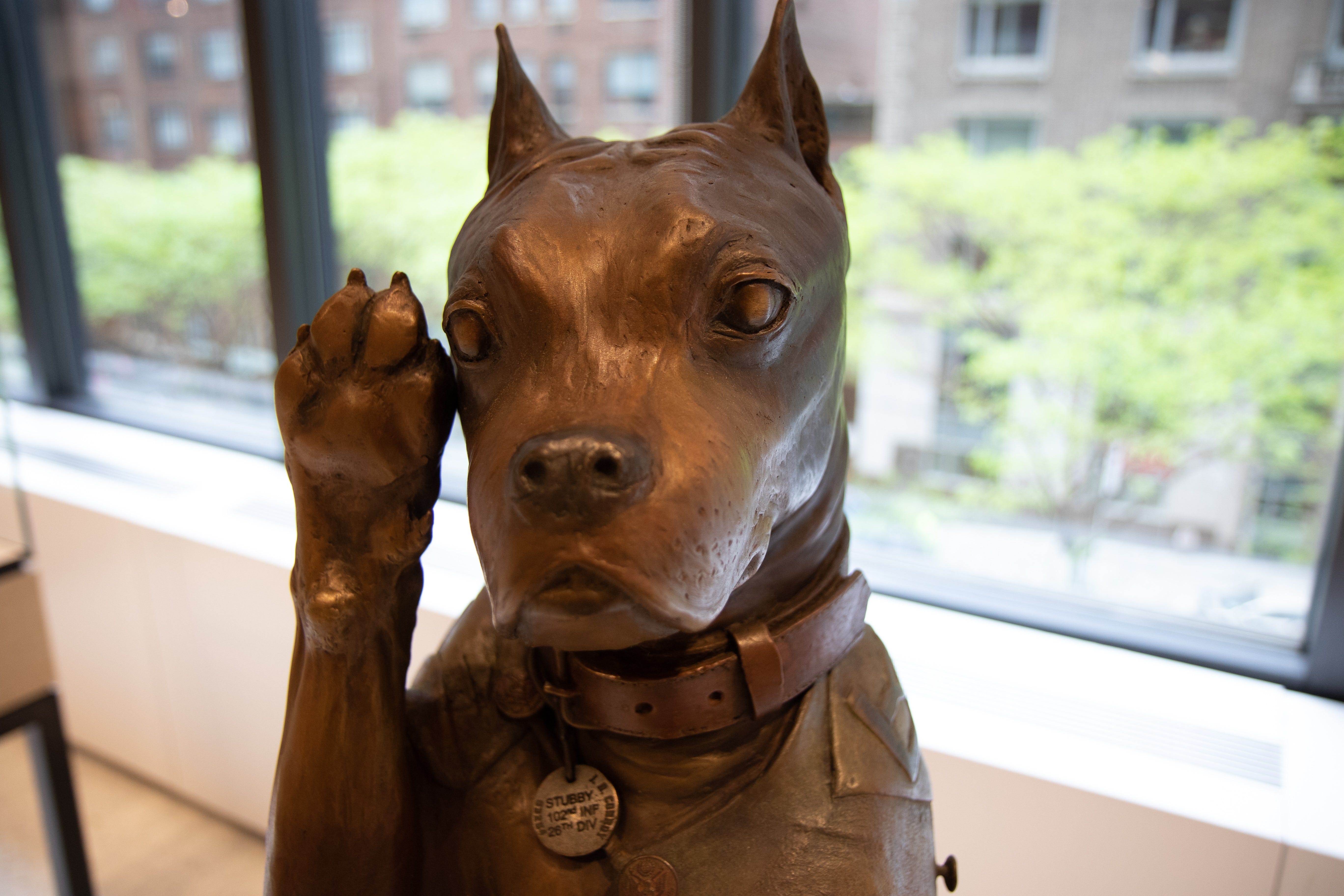 Museum of the Dog in NYC honors Sgt. Stubby, Army's first service dog