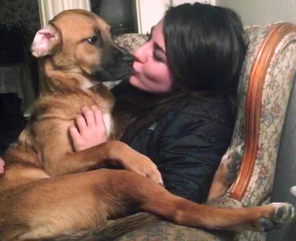 Woman seeks custody of dog she shared with ex-boyfriend Woman seeks custody of dog she shared with ex-boyfriend