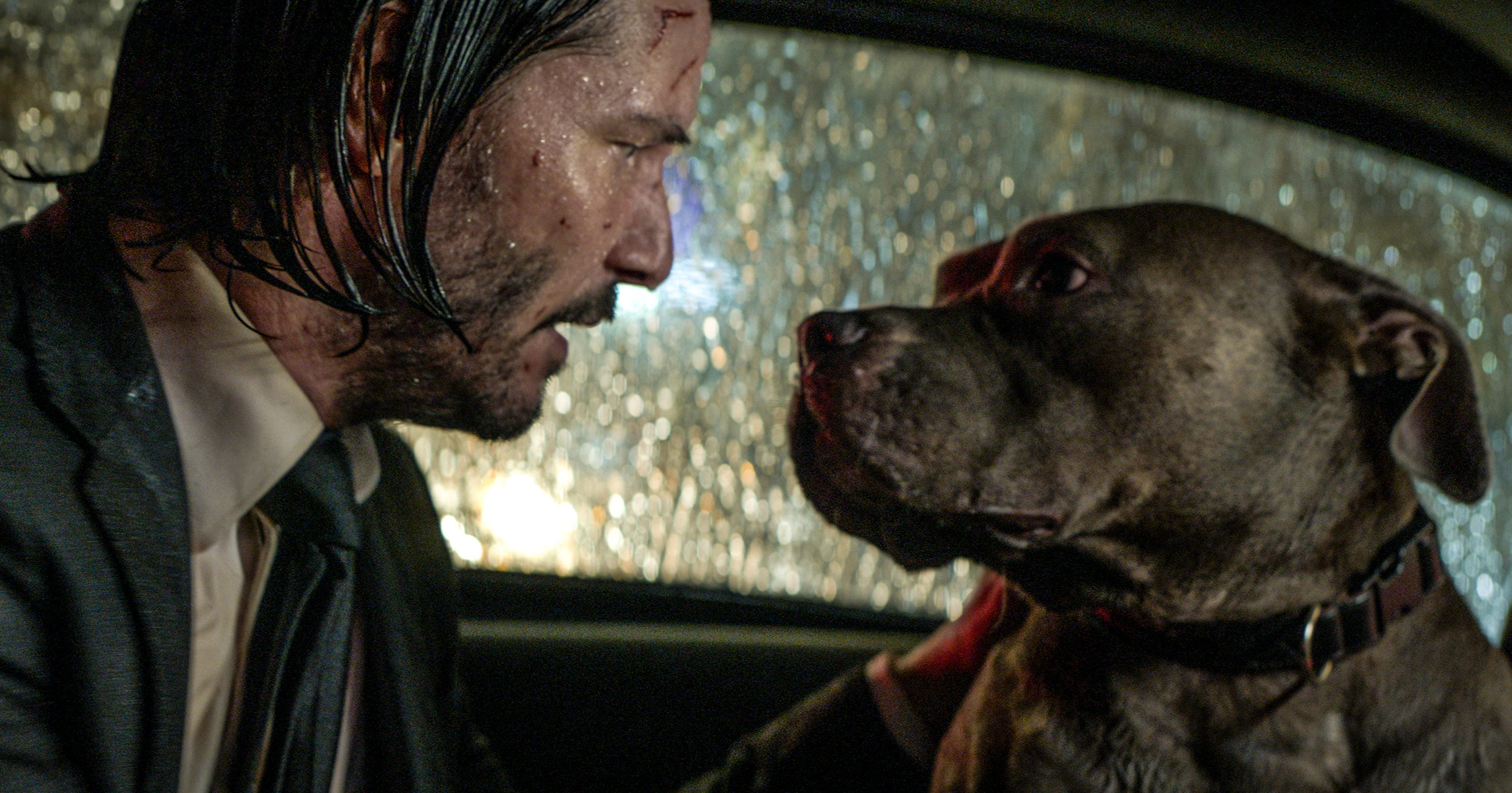 John Wick 3 How The Keanu Reeves Franchise Turned Into A