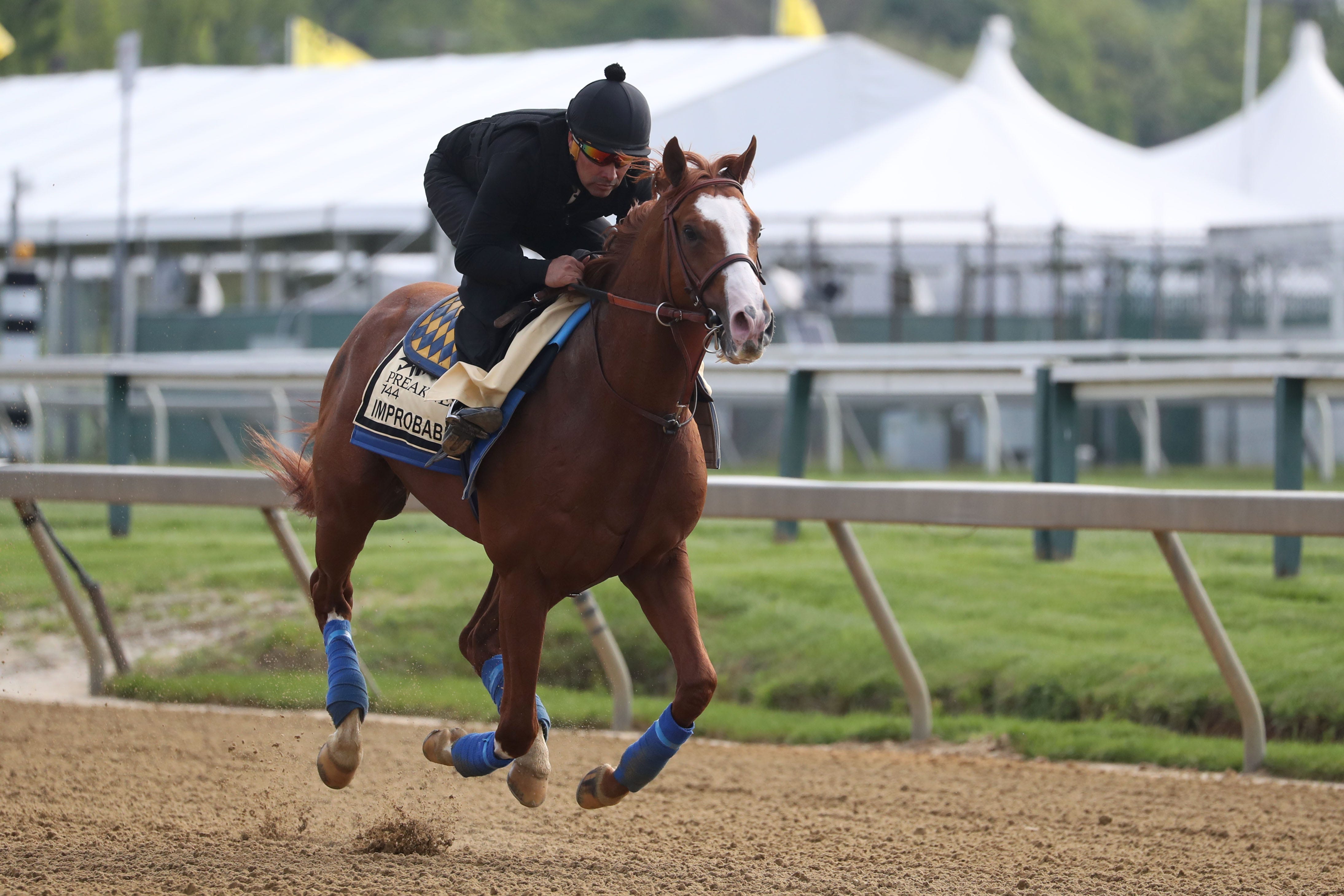 Preakness 2019 picks Owendale, War of Will are horses to watch
