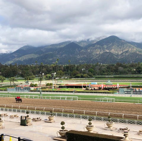 A general view of Santa Anita Park.