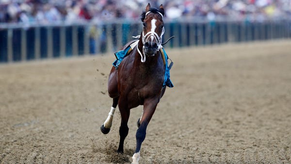 Bodexpress runs in the 144th Preakness Stakes...