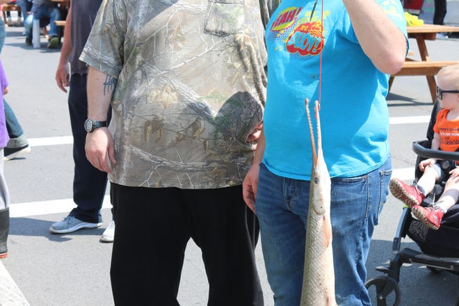 Eric Schultz, of Fremont, reeled in a whopping 42-inch longnose gar out of the Sandusky River on Saturday morning, making it a shoo-in for the longest catch of the day.