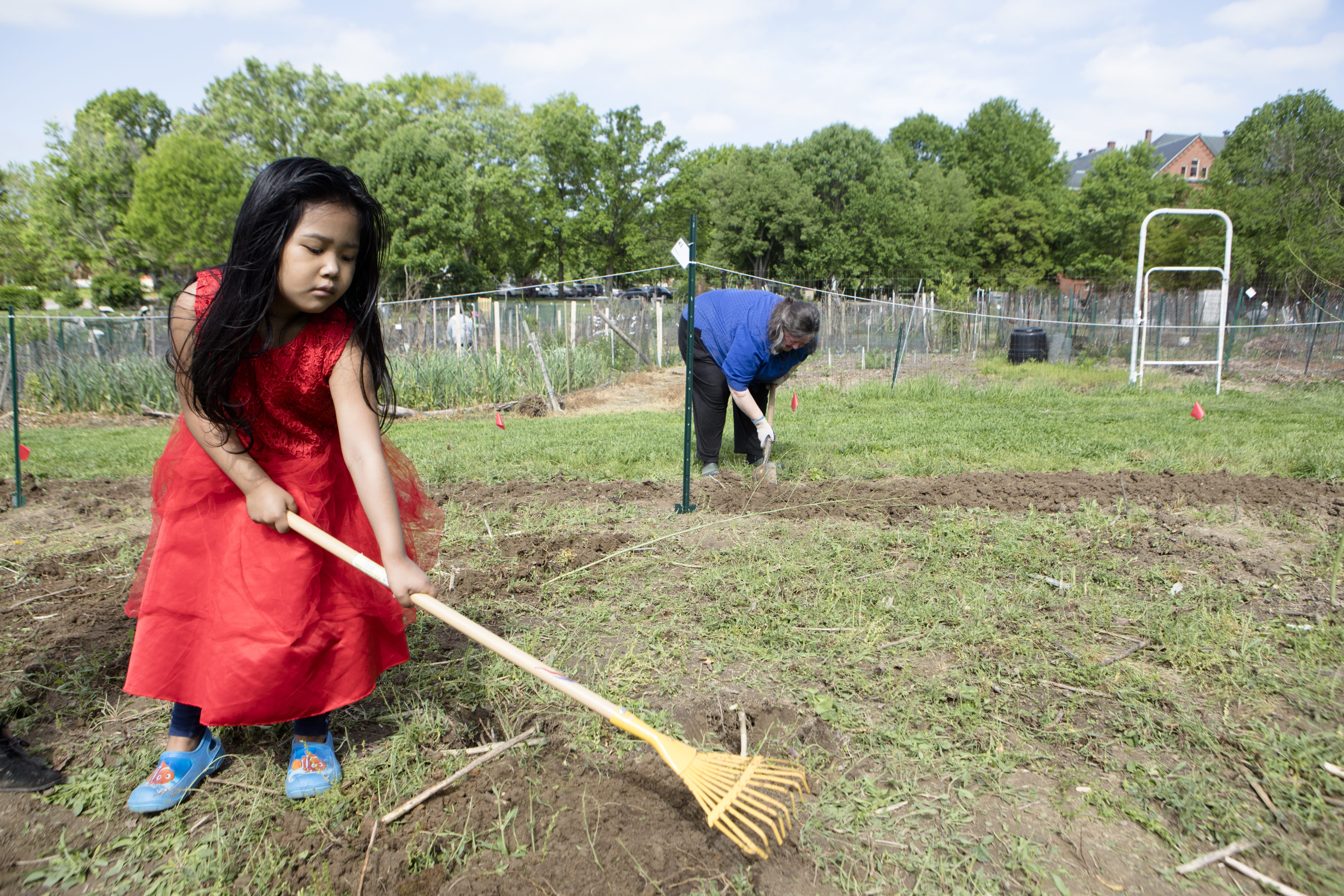 Pratisma Tamang, 4, rakes the dirt at the community garden. She is part of a family that grows food on several of the plots at St. Clare Convent in Hartwell.