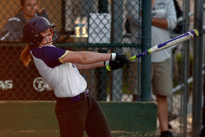 Fowlerville's Morgan Byerle drives in two runs in the sixth inning on Thursday, May 23, 2019, at Ranney Park in Lansing.