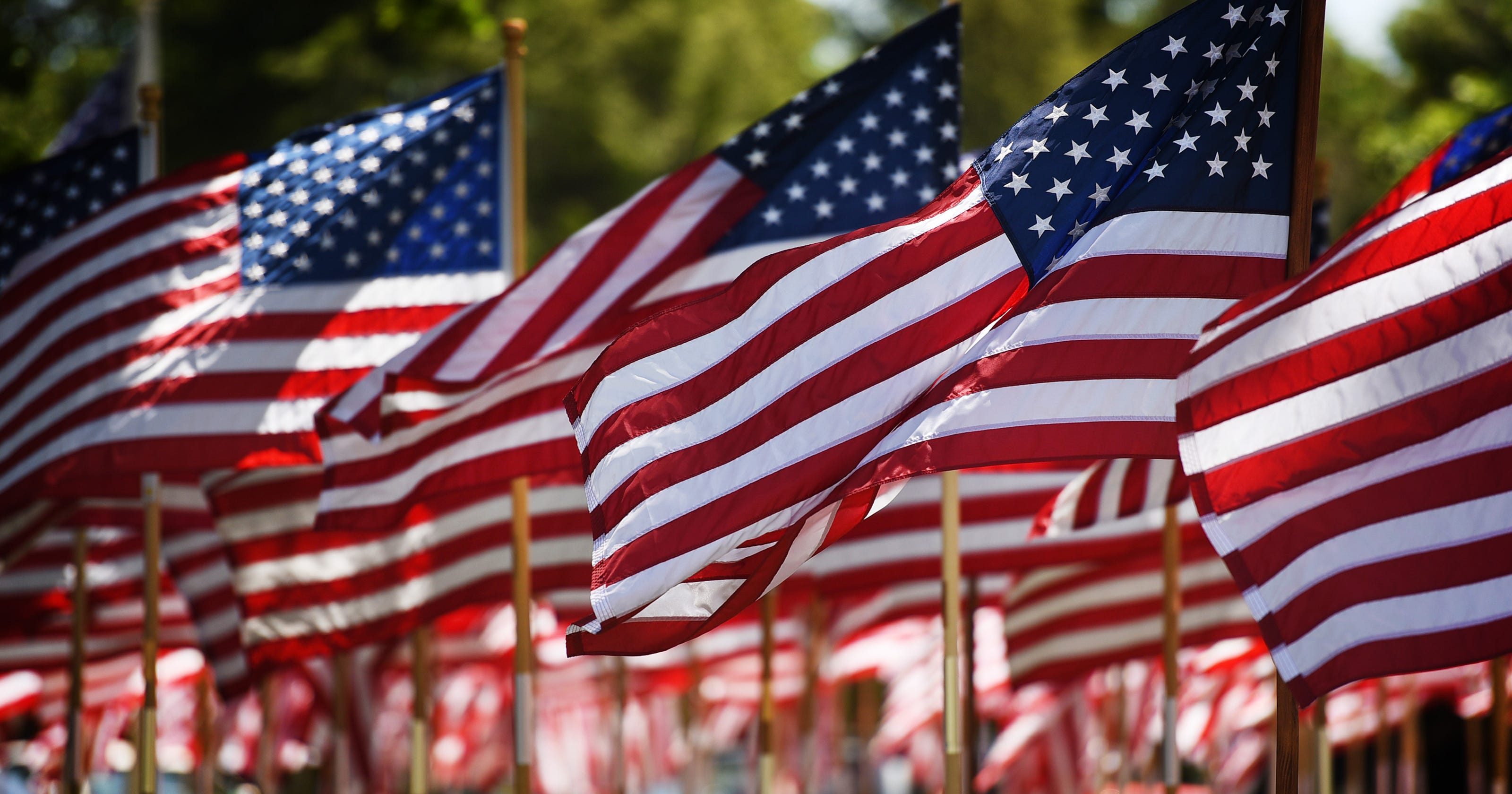 The Flag The Stars And Stripes American