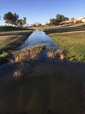 Since 2017, Bullard Wash has flooded through the PebbleCreek neighborhood in Goodyear. The city commissioned a report in 2018 to find the source of the water.