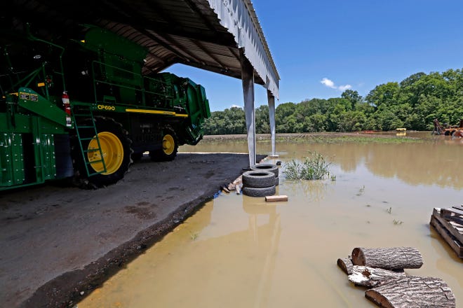 A cotton picking tractor of Grosvenor Farms sits marooned in its Holly Bluff, Miss., shed, as backwater surround it and the fields.