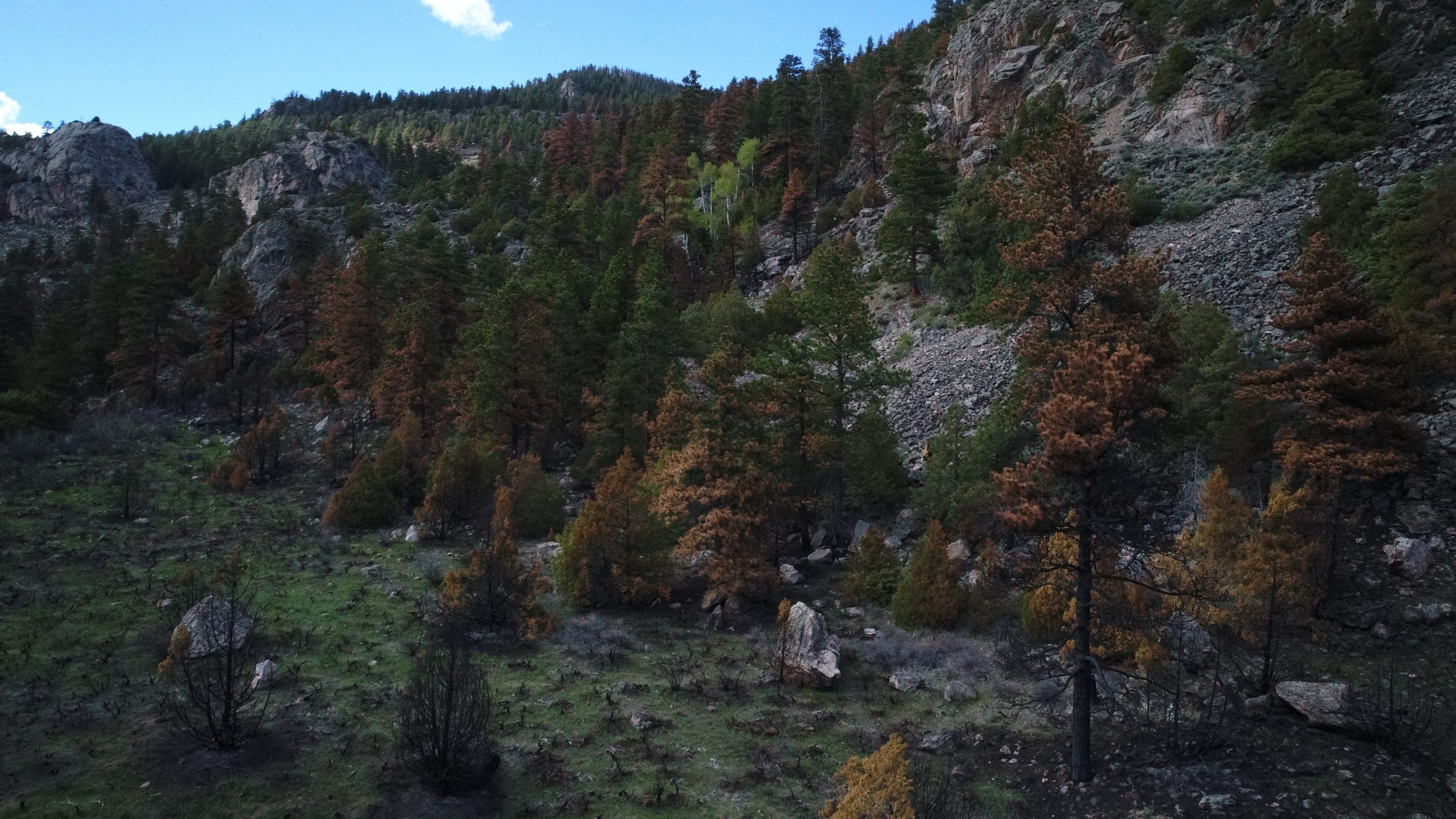 The Bighorn Sheep Prescribed Burn is shown off Highway 14 across from the Big Bend campground.