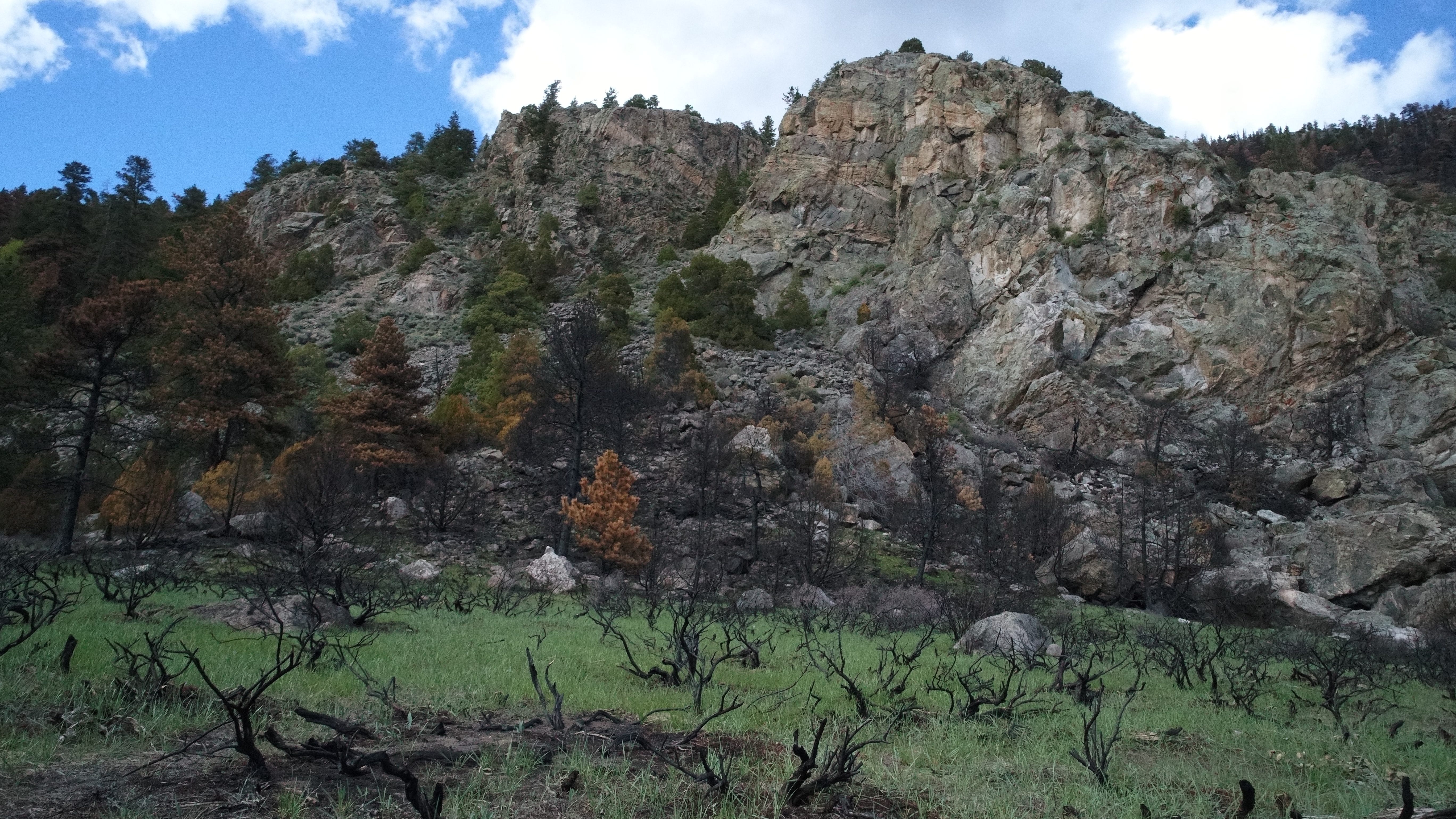 The Bighorn Sheep Prescribed Burn is shown off Highway 14 across from the Big Bend campground.