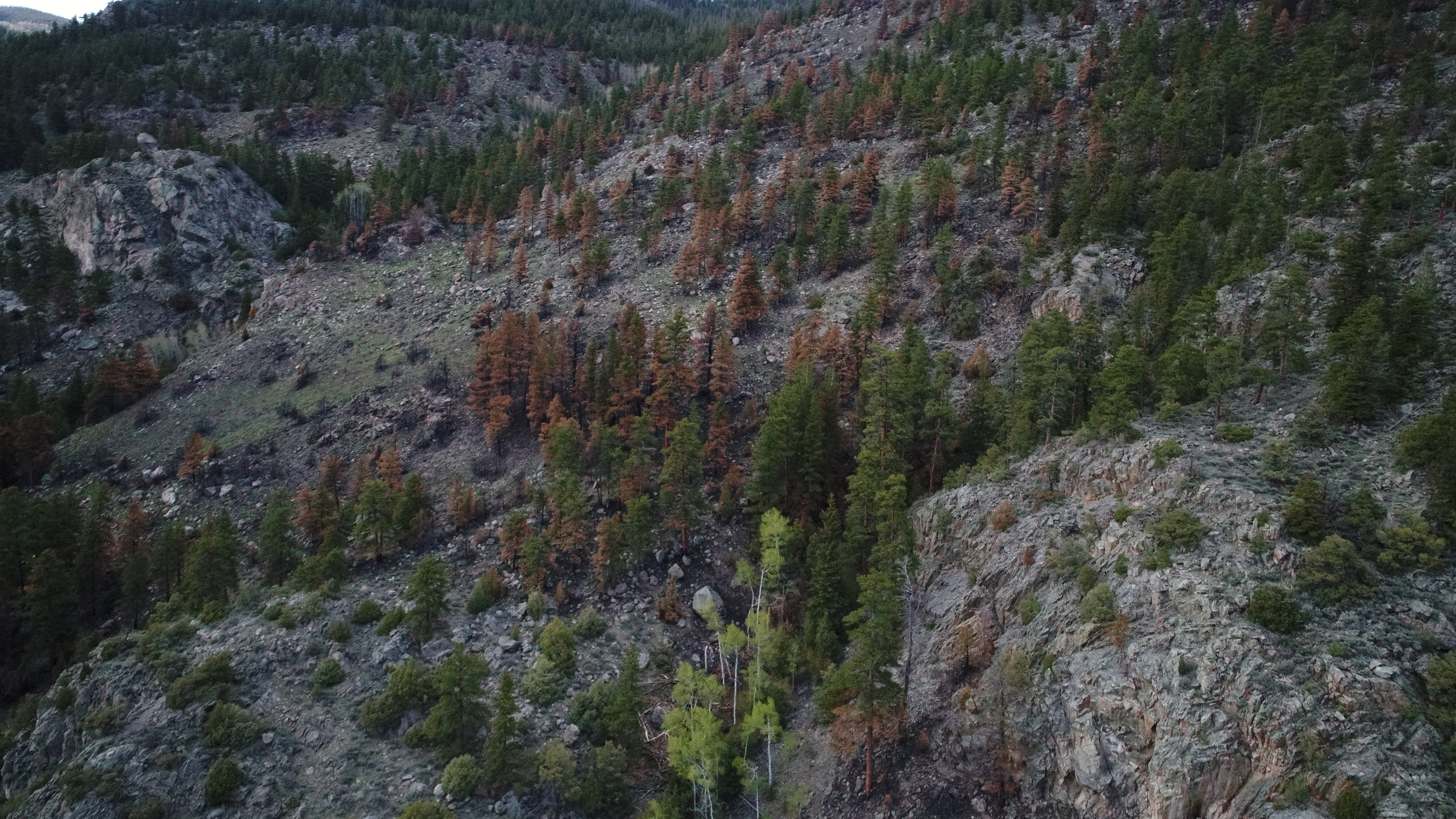 The Bighorn Sheep Prescribed Burn is shown off Highway 14 across from the Big Bend campground.