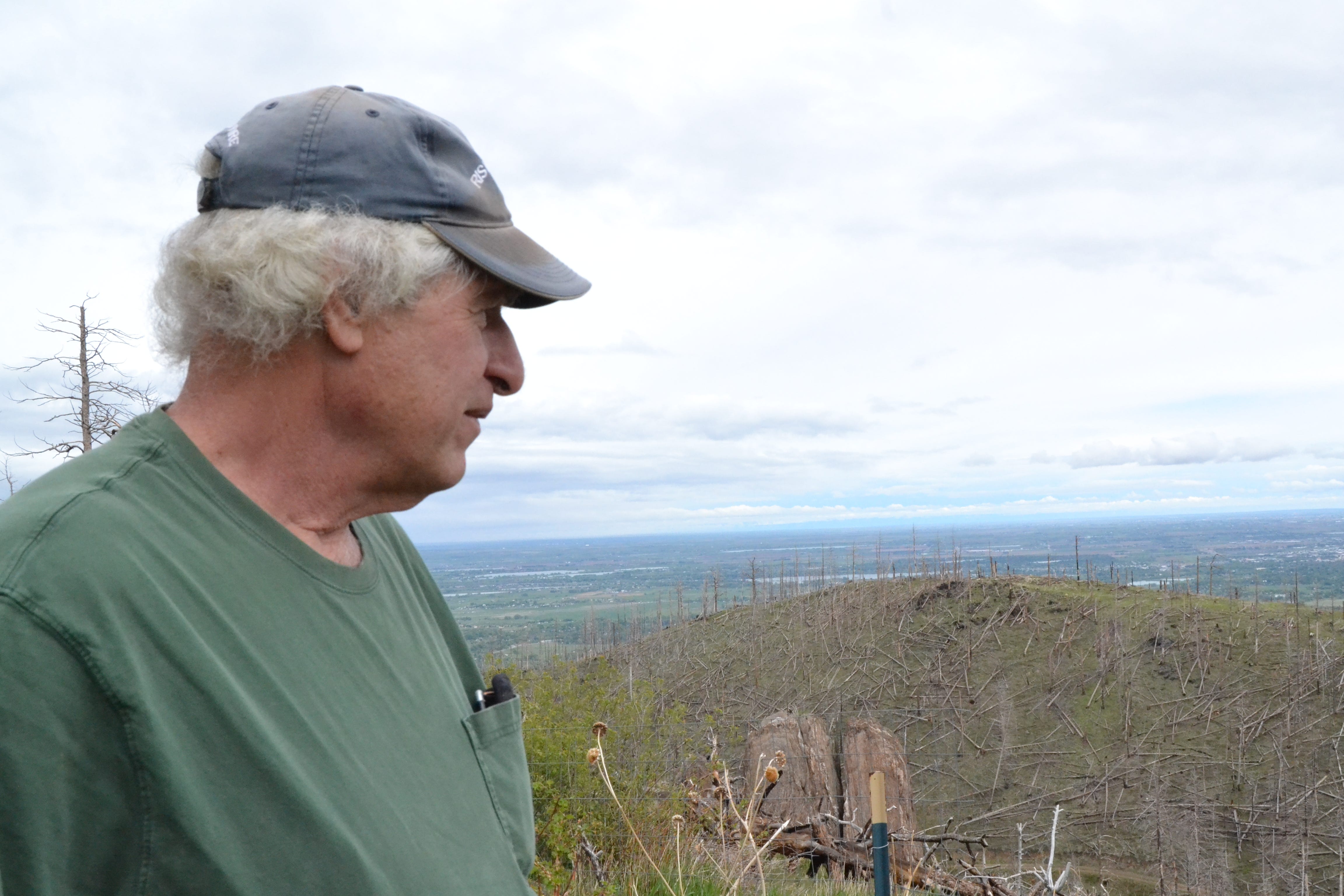 Larry Monesson looks at the burned area surrounding his home in the High Park fire burn area.