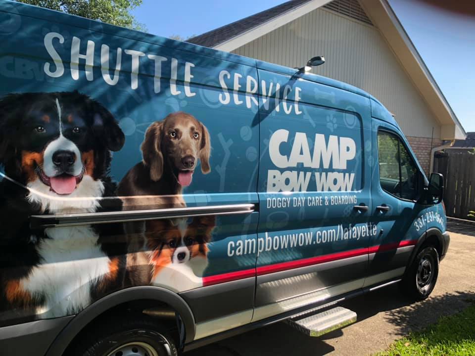 pet shuttle service