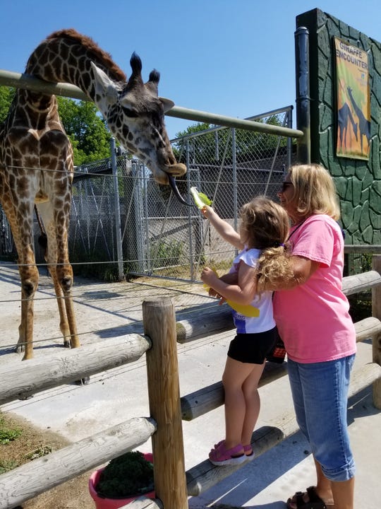 10 Wisconsin zoos outside of Milwaukee worth a visit