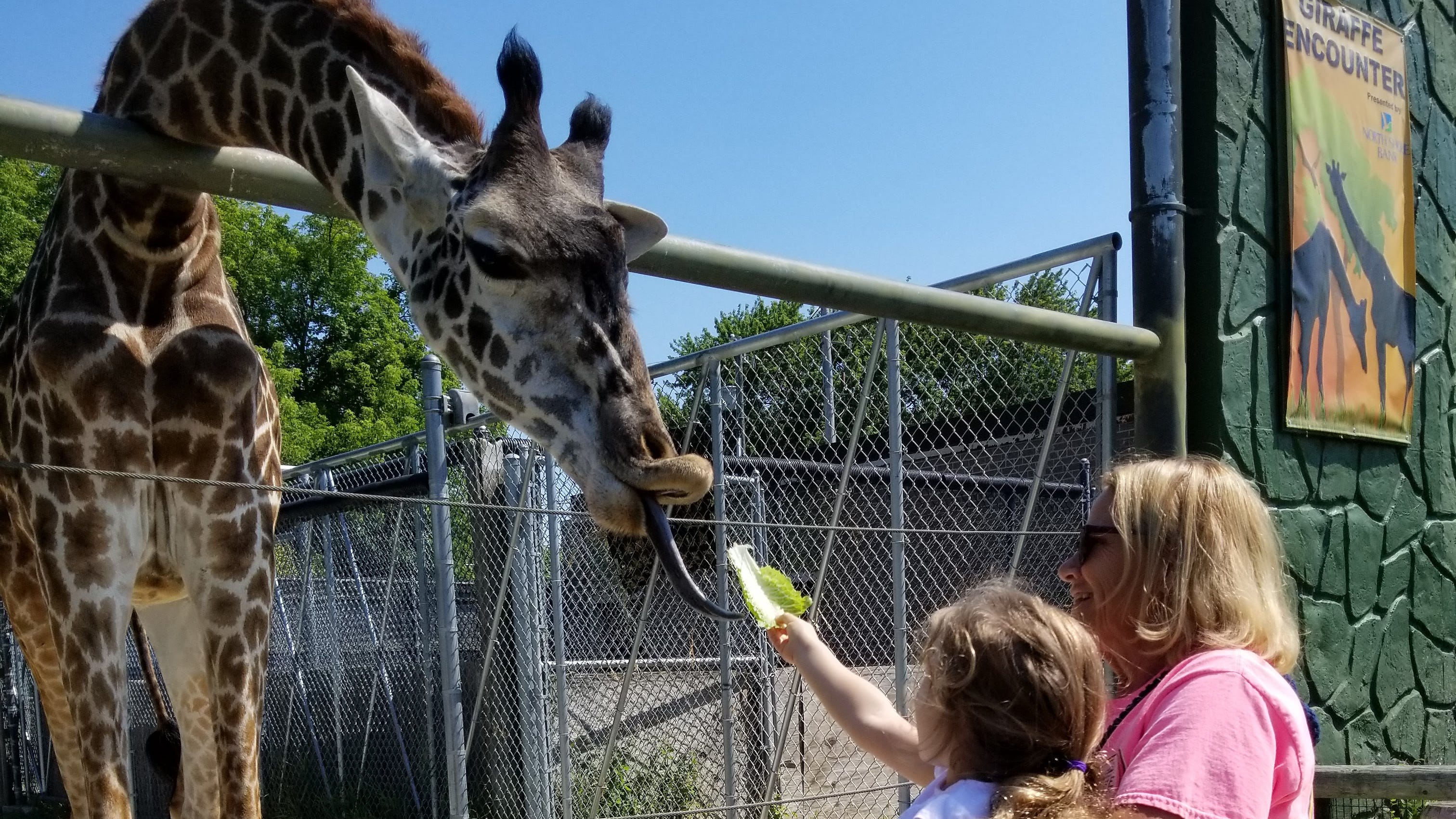 Milwaukee Zoo Free Days 2025