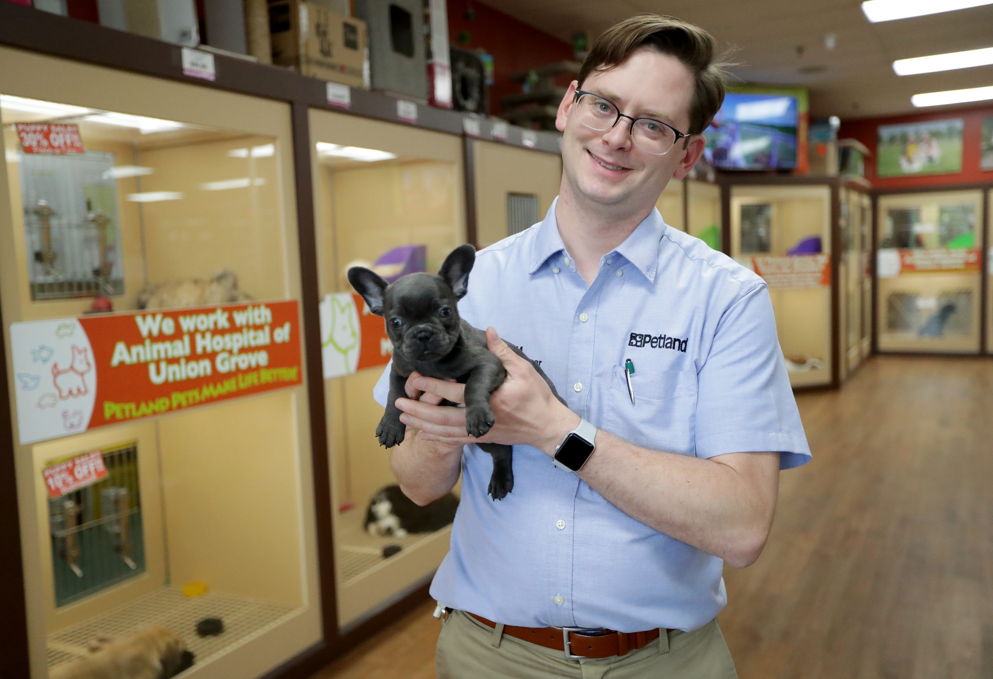 How Does Petland Get Their Puppies