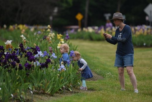 Presby Memorial Iris Gardens Attracts Admirers From Around The Globe