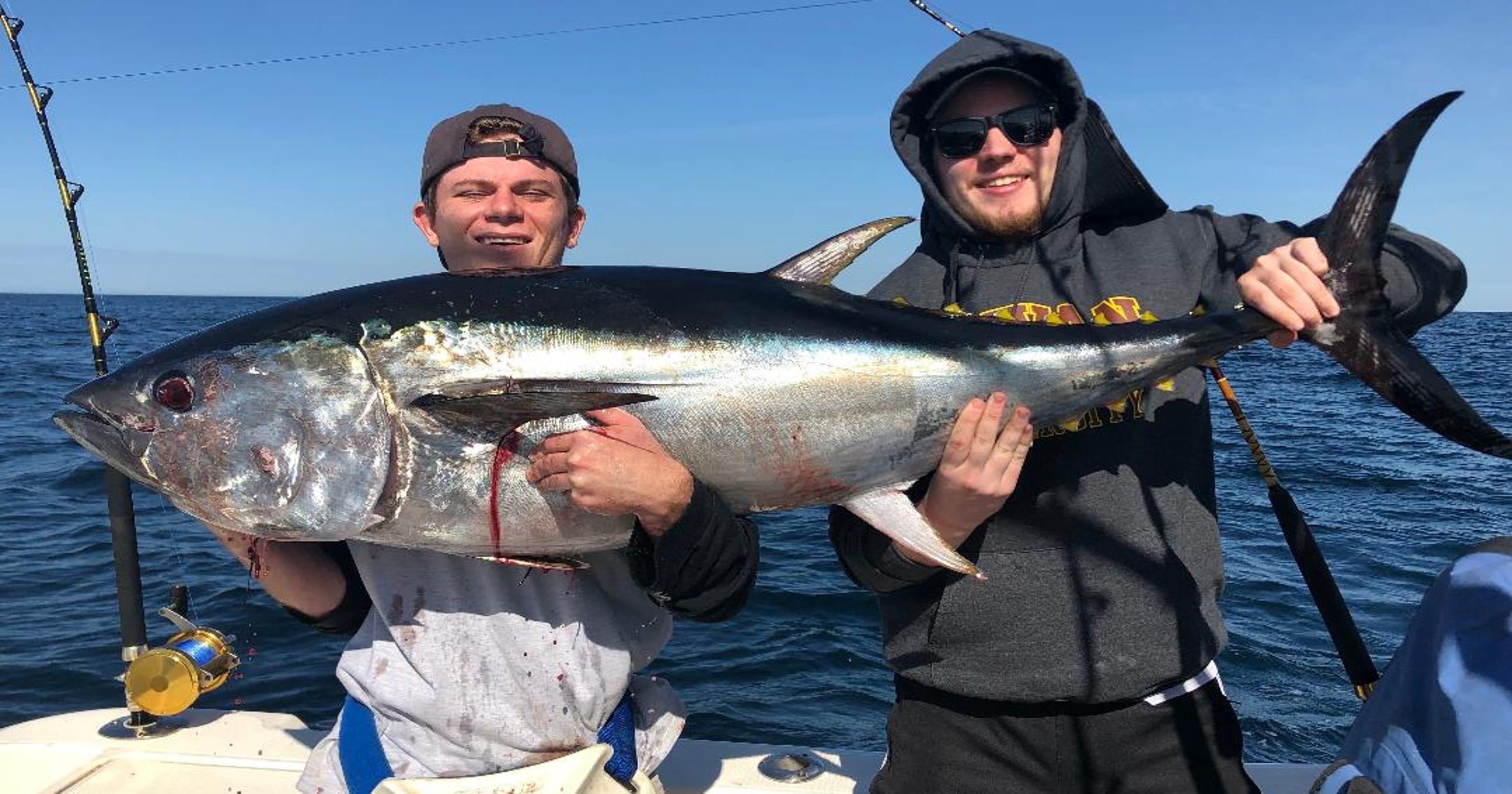 Bluefin tuna action intensifies along Jersey coast