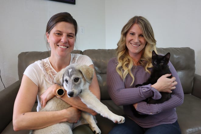 Fort Collins Cat Rescue executive director Sarah Swanty, left, and Animal House executive director Ali Eccleston, right, pose with a dog and cat to announce the merger of their two organizations.